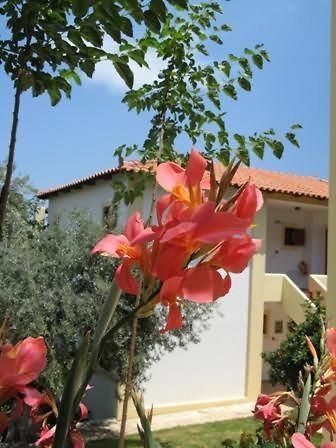 Hotel Heleni Apartments Epidaurus Exterior foto