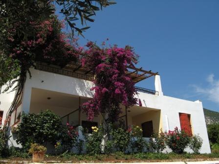 Hotel Heleni Apartments Epidaurus Exterior foto